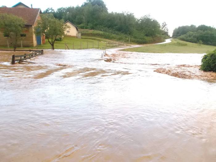 rakovica-2014-ristic-02