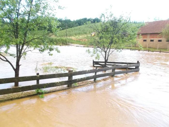 rakovica-2014-ristic-03