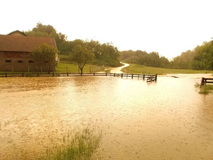 rakovica-2014-ristic-04