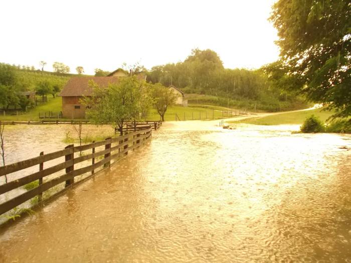 rakovica-2014-ristic-07