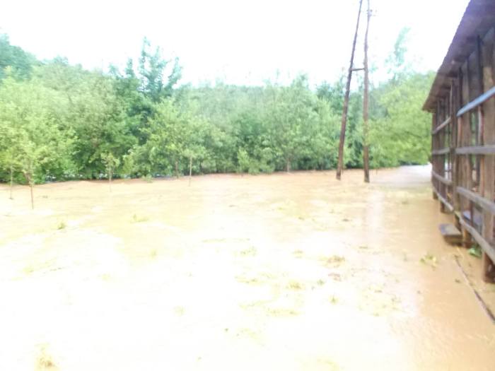 rakovica-2014-ristic-08