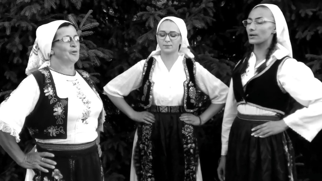 Potkozarsko posijelo u Gornjim&nbsp;Podgradcima