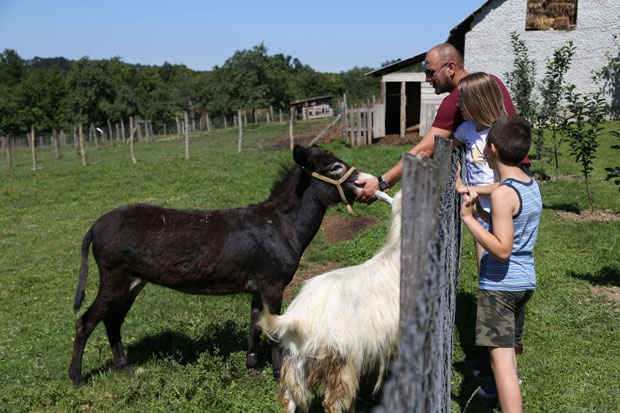 Željkovo dečje selo – ukras Kozare i Republike&nbsp;Srpske