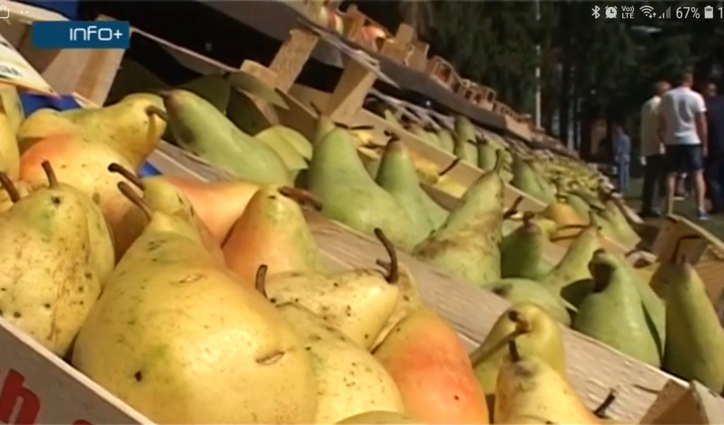 Dani voća Potkozarje&nbsp;2018