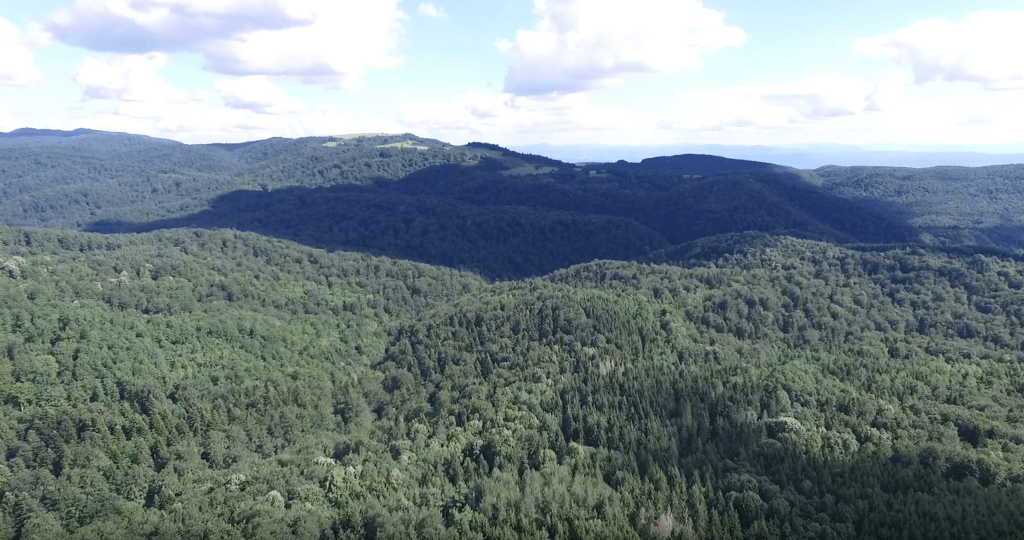 Oj Kozaro Izvorna ojkačka grupa Timar&nbsp;Jelićka