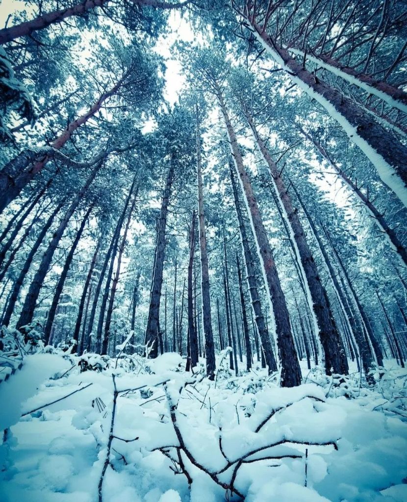 Foto: Mladen Trivunić