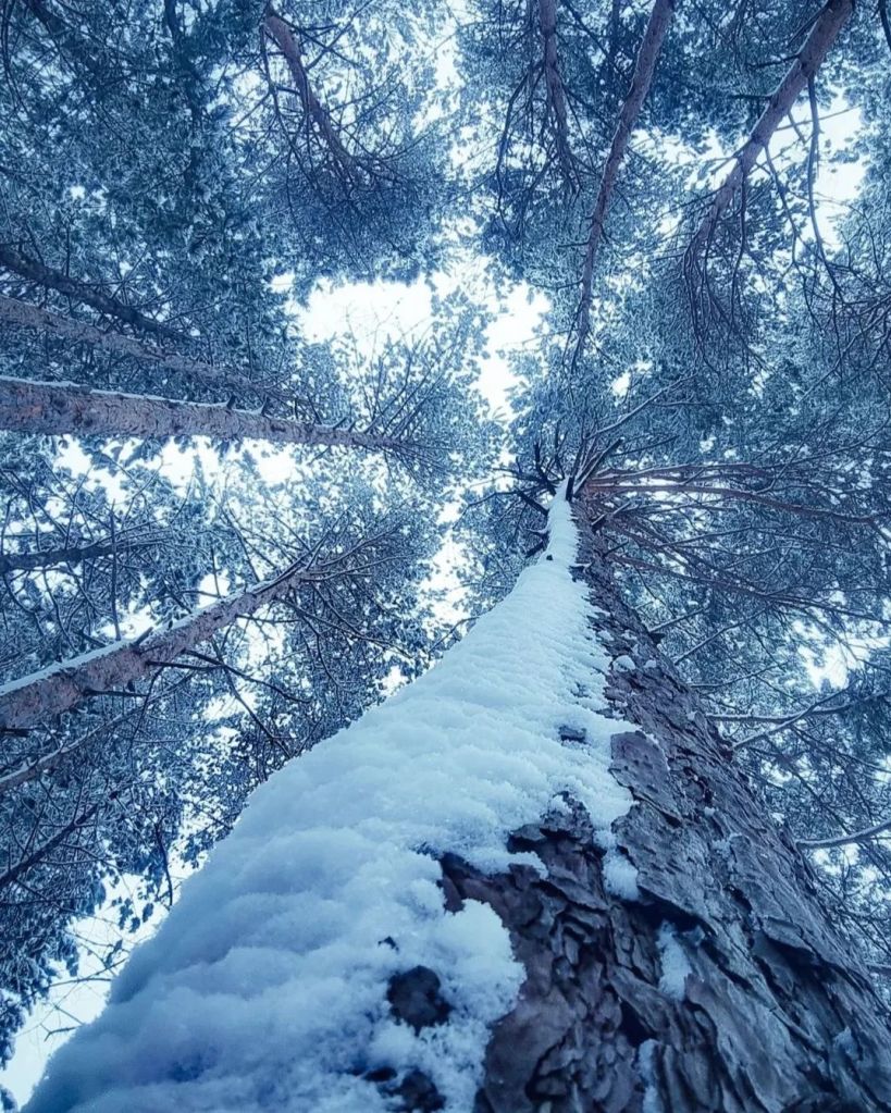 Foto: Mladen Trivunić