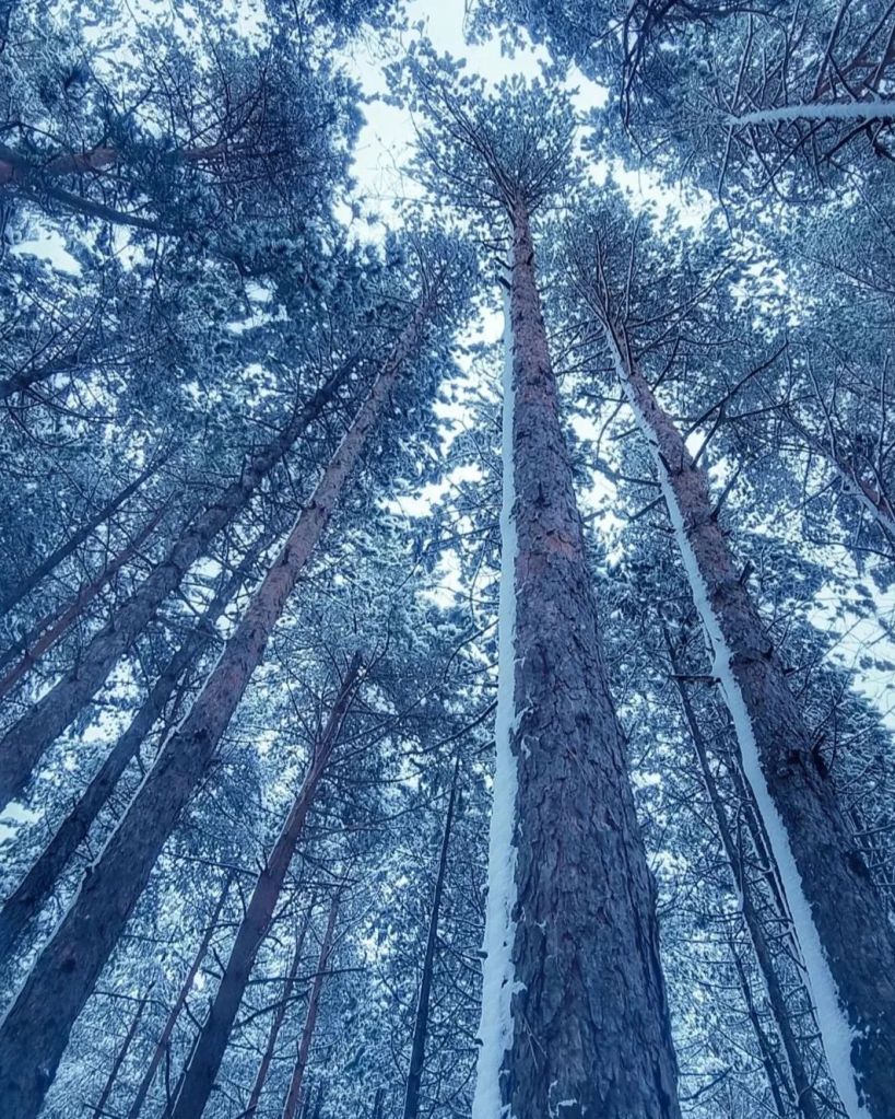 Foto: Mladen Trivunić