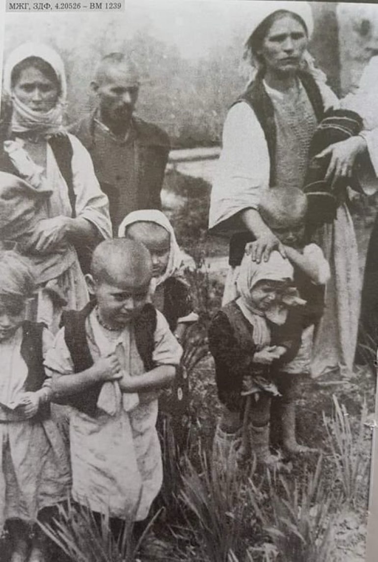 Skakale u Savu da ne gledaju smrt svoje&nbsp;dece