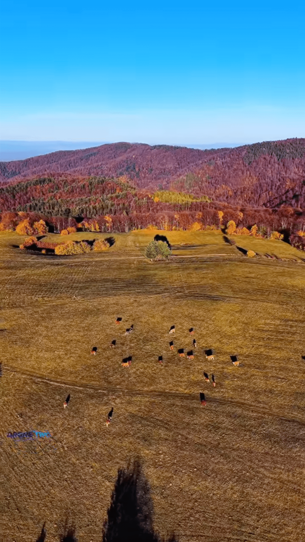 Nije Kenija, ali jeste&nbsp;Kozara.